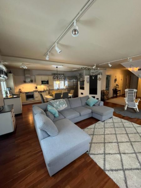 Cozy, spacious and traditional house